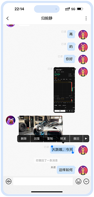 Application screenshot 1